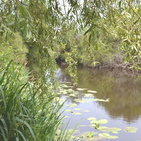 Nocleg ze śniadaniem Les Bruyeres Montbron